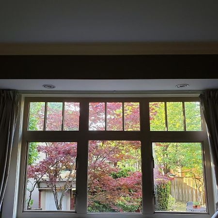 Elegant, Sunny Modern Home With Skylights - Kitsilano, Vancouver Bagian luar foto